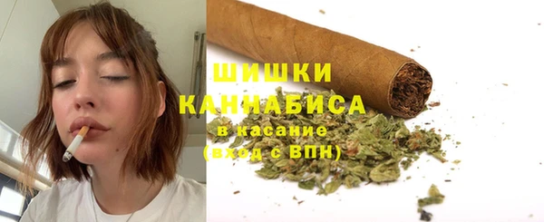 крисы Майский