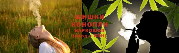 крисы Майский