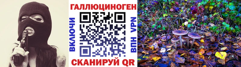 цены   Серов  Галлюциногенные грибы прущие грибы 
