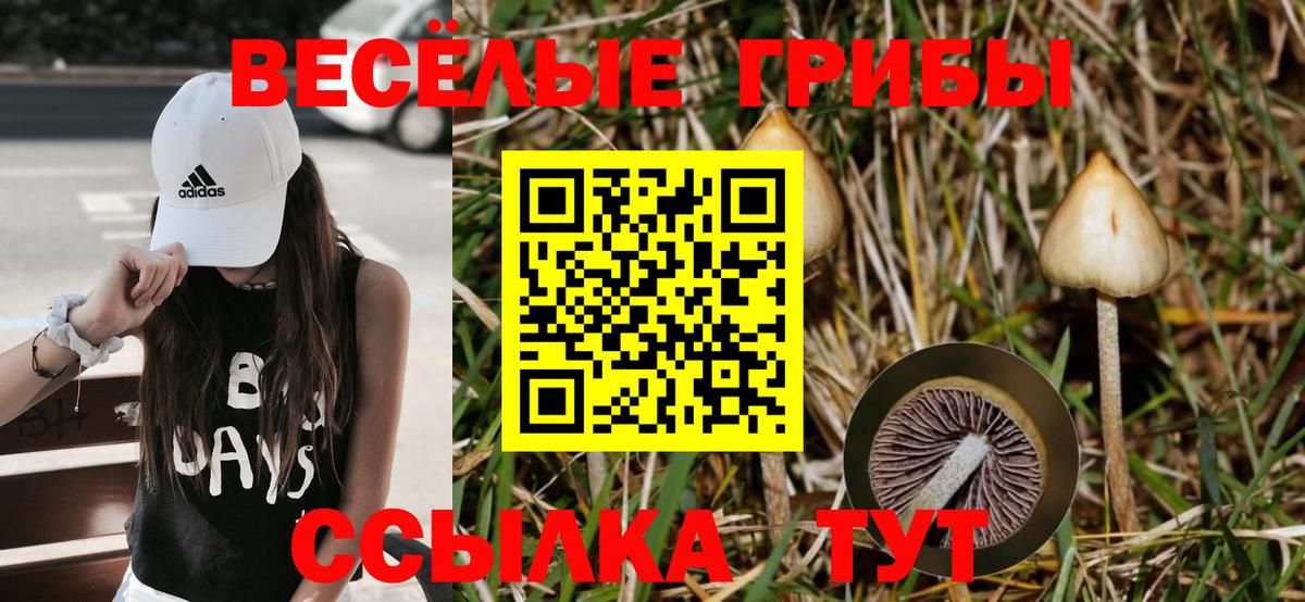 Псилоцибиновые грибы Magic Shrooms Серов