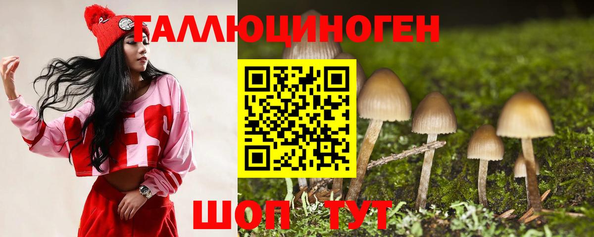 Серов  Галлюциногенные грибы Psilocybine cubensis  Псилоцибиновые грибы Magic Shrooms  где можно купить   Вход с VPN 